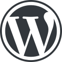 As agency we are showing the icon of WordPress by- DigiSparkzz