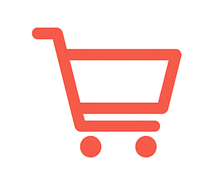 E-commerce Websites Design by - DigiSparkzz